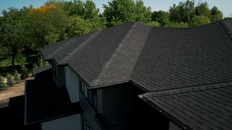 Best Chimney Flashing Repair  in North Pekin, IL