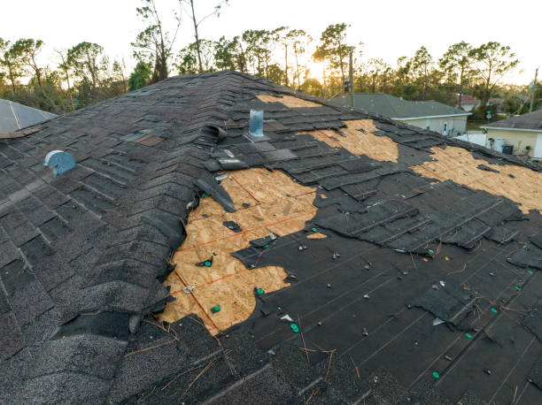 Best Storm Damage Roof Repair  in North Pekin, IL